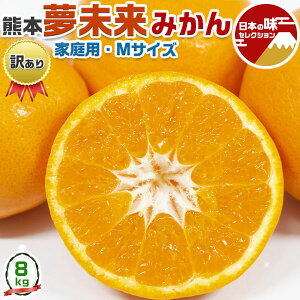 󂠂݂ ݂@8kg MTCY F{Y  k@t[c@ƒΕEENX}XMtgE