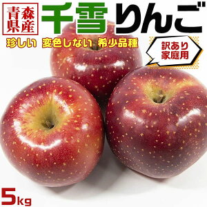 XY  񂲁@󂠂 4kgȏ(5kg)@  ϐFȂ 󏭕i EƒpbƑEƒEiE