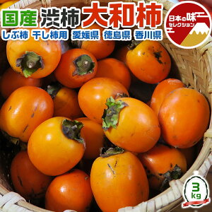  ` ( a` ) a` 邵` ` p S-2LTCY 3kg yQ  쌧z yoדCEwszƒp 