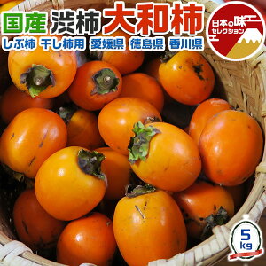  ` ( a` ) a` 邵` ` p S-2LTCY 5kg yQ  쌧z yoדCEwszƒp 