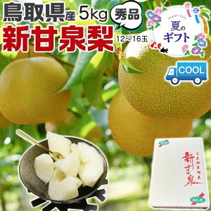 �ő�2000�~�N�[�|�����y�N�[���֎w��z���� �V�Ð�@�� �G�i 5kg �@12�ʁ`16�ʓ� ���x14�x�O�� �����p�y���񂩂񂹂񒹎挧�Y�i�V�z�x�߂́@�������@�M�t�g�@��������