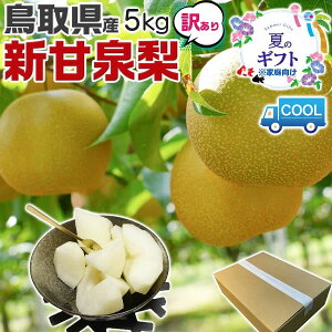 �y�N�[���֎w��z���� �󂠂� �V�Ð� �� ��5kg�i6�`20�ʁj���x14�x�O�� ���ƒ�p�y���񂩂񂹂񒹎挧�Y�i�V�z�������@�ƒ�p�@�M�t�g�@��������