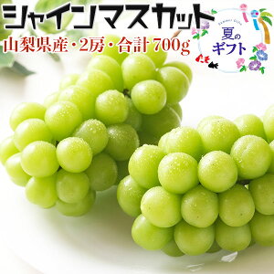 VC}XJbg 2[Ev700gEƒpyRY Ԃǂzx߂̉ăMtg @hV̓@ƒp@@N[