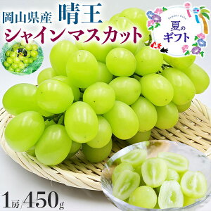 ぶどう 岡山県産 晴王 シャインマスカット シャイン 450g 1房 高糖度  希少品種 マスカット 遅れてごめんね お中元・敬老の日・家庭用・ギフト・送料無料