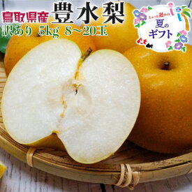 【クール便指定】鳥取県産 梨 訳あり 豊水　5kg 8〜20玉 ご家庭用　無地段ボール箱　遅めの夏ギフト・遅れてごめんねお中元・敬老の日・家庭用・ギフト・送料無料