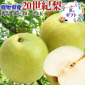 挧Y  Gi 20I@5kg 18`24ʓ p@@x߂̉ăMtgExĂ߂˂EhV̓EMtgE