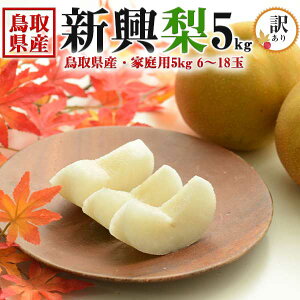 挧Y @󂠂 V 5kg 6`18 ƒp@H̃MtgEΕẼiVE