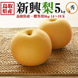 挧Y  V Gi 5kg 14`18 p@H̃MtgEΕẼiVE