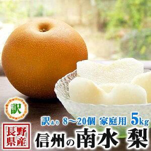 쌧Y @󂠂 쐅 5kg 8`20 ƒp@x@MBY@H̃MtgEΕEnEBE