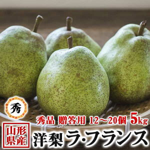 miV EtX R`Y Gi 5kg 12`20 ʎ̏@H̃MtgEΕENX}XMtgE