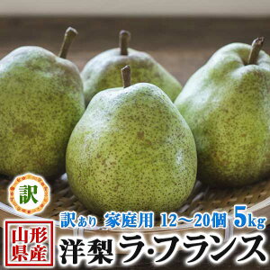 miV EtX R`Y 󂠂 5kg 12`20 ʎ̏@H̃MtgEΕENX}XMtgE