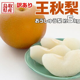 鳥取県産 梨　訳あり 5kg 王秋梨　家庭用 冬のギフト・お歳暮・鳥取のナシ・送料無料　予約 11月上旬頃から