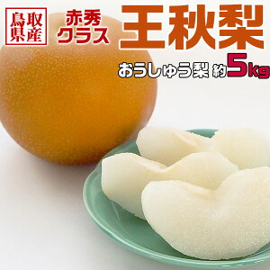 挧Y  5kg H ԏGNX p ~̃MtgEΕẼiVE@\ 11{