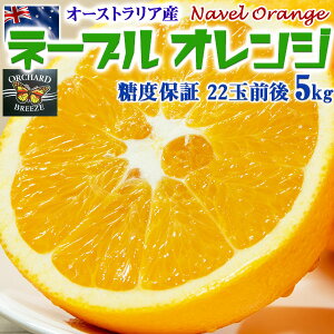 ネーブルオレンジ 5kg 糖度保証 22玉前後【オーストラリア産】Navel Orange/From Australia お歳暮・お正月・クリスマスギフト・送料無料