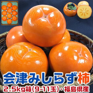 ő2000~N[|Áy݂炸`z2.5L(9-11ʓ)yi{[EƒpEYz11{납12{ɏ\bEH̑E~̃MtgEΕ@