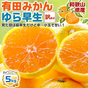 瑁 ݂@Lc݂ 5kg RǑ n  xya̎RELcYzGiNX TCYFʏʍ yoדCEwszΕ Mtg 