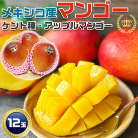 【最大2000円OFFクーポン】メキシコ産　アップルマンゴー　ケント種　約 5.8kg 前後｜12個【世界の果物シリーズ・メキシコ産マンゴー・高糖度】果物　希少フルーツ【出荷期間：7月上～中旬】トロピカルフルーツ　空輸・ギフト　贈物　送料無料