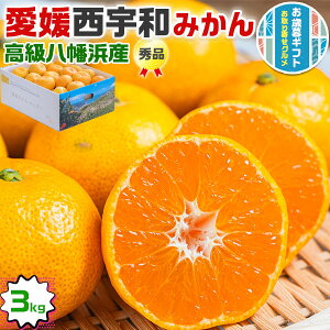 Ε Mtg@Q ݂iFa݂j Gi 3kg@FaYil݂jbFanElsŶ݂@@~JbQY@@ʕ@t[c@󏭁@L_