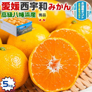 Ε Mtg@Q ݂iFa݂j Gi 5kg@FaYil݂jbFanElsŶ݂@@~JbQY@@ʕ@t[c@󏭁@L_