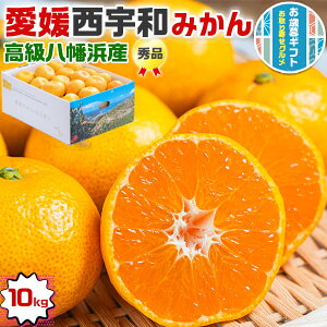 Ε Mtg@Q ݂iFa݂j Gi 10kg@FaYil݂jbFanElsŶ݂@@~JbQY@@ʕ@t[c@󏭁@N