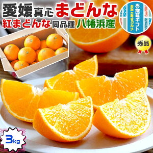 Ε@Q ^S ܂ǂȁi܂ ܂ǂȁj Gi 3kg@FaYiljg܂ǂȓibFanElsŶ݂@@܂ǂȁbQY@݂@ʕ