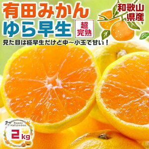 瑁 ݂@Lc݂ 2kg RǑ n  xya̎RELcYzGiNX TCYFʏʍ yoדCEwszΕ Mtg 