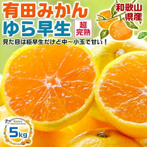 瑁 ݂@Lc݂ 5kg RǑ n  yMtgLNO.1xzya̎RELcYzFI(Â) TCYFʏʍ yoדCEwszΕ M