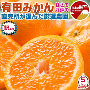 n ݂@I񂾌I_@Lc݂  5kg 󂠂 TCY召 ƒpya̎RELcYzyoדCEwsz t[c ʕ  k ƒ Mtg N