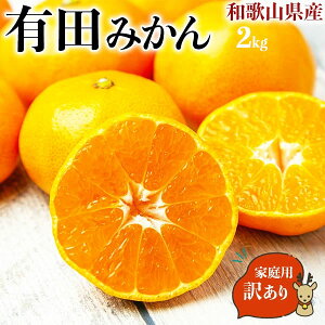 Lc ݂ 2kg 󂠂@ƒpya̎RELcsYzʂLc~J yoדCEwsz@