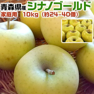 X񂲁@VimS[h@ƒp@10kg@ьyXYz\iF11{O`n揇Eo׊JnyoדCEwsz