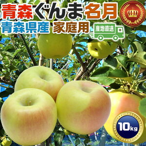 X񂲁@ܖ@ƒp@10kg@ьyXYz\iF11{O`n揇Eo׊JnyoדCEwsz