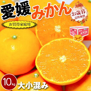 Q ݂@ƒp@10kg TCY召 1@ii󂠂ij@QY@~Mtg@k@t[c@JAЂߓ蒼@