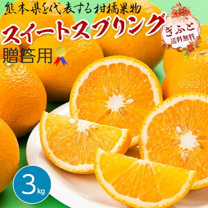 XC[gXvO 3kg p nEX͔| v~A t[c k fU[g Mtg F{Y IWxg 