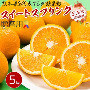 XC[gXvO 5kg p nEX͔| Mtg v~A t[c k fU[g F{Y IWxg 