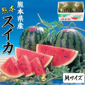  A^CLO1ʁI XCJ F{Y 1 4kg×2ʁ@/FG()@p@@Z @v[g@ʕ@hV̓@󏭂@t[c@Mtg@E