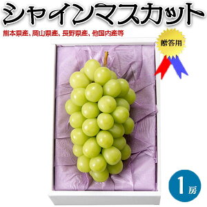 ő2000~N[|VC}XJbg 1[ 550g@p@Ԃǂ@x20x hV̓@v[g@ԑ傫ځ@F{ARA쌧Y@ϔ@p@@MtgE