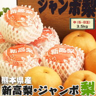 【予約】　梨　新高梨・ジャンボ梨　贈答用　熊本県産　1箱 約3.5kg（中玉6-8玉入り）・高級ギフト・送料…