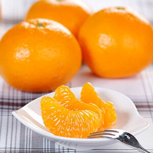 n ݂ 3kg 24-30  p Mtg M-L TCY ~J F{Y IWxg ʕ t[c fU[g 