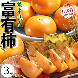 ` xL` 3kg 10-14 p Mtg ʕ t[c v~A fU[g  JL F{Y Mtg 