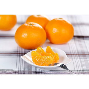 n݂ 10kg /1iM-LTCY80-100jpMtgEF{YyIWxgz~J  t[c ʕ p 