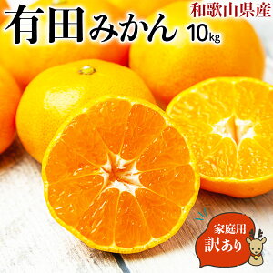 Lc ݂ 10kg 󂠂@ƒpya̎RELcsYzʂLc~J yoדCEwszE