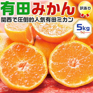 Ân@Lc݂@5kg@󂠂@ƒpya̎RLcsYzÂʂLc~J yoדCEwszMtgE@\F1120ȍ~o׊Jn