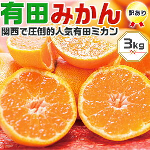 Ân@Lc݂ 3kg 󂠂@ƒpya̎RLcsYzÂʂLc~J yoדCEwszMtgE@\F1120ȍ~o׊Jn
