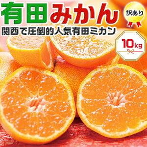 甘い完熟 訳あり 有田みかん 10kg 家庭用【和歌山県有田市産】甘い小玉も混合有田ミカン 【出荷日お任せ・指定日不可】冬ギフト・送料無料 予約:11月20日以降から出荷開始