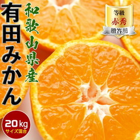 最大2000円クーポン◆甘い完熟　有田みかん　20kg　贈答用【和歌山県有田市産】甘い小玉も混合有田ミカン 1箱10kgを2箱で出荷【出荷日お任せ・指定日不可】冬ギフト・送料無料　予約：11月20日以降から出荷開始