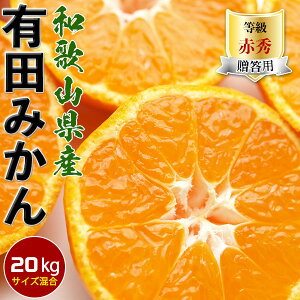 甘い完熟 有田みかん 20kg 贈答用【和歌山県有田市産】甘い小玉も混合有田ミカン 1箱10kgを2箱で出荷【出荷日お任せ・指定日不可】冬ギフト・送料無料 予約:11月20日以降から出荷開始