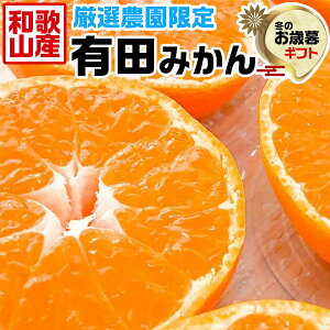 Lc@݂ 󂠂@KiO@10kg TCYCyNX}XEZ[EI_zyoדCEwsz(TCYEƒp)@@͂w˕s