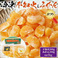 愛媛　冷凍 不知火 ＆ みかん　各500g　(合計2袋 1kg) 粒楽　食べ比べセット 冷凍みかん 家庭用　夏の お…