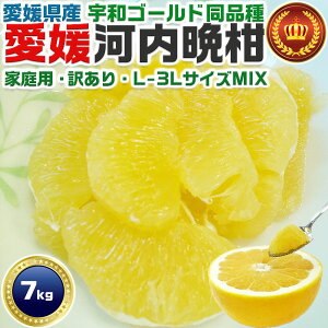 ���Q�@�͓��ӊ��@7kg �󂠂� L�`3L�T�C�Y����(�o���l��)�@�F�a�S�[���h���i��@���Q�����쒬�Y�@���k�݂���@�ʕ��@�t���[�c�@�Ƒ������M�t�g�ɂ��E��������