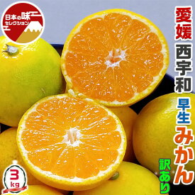 愛媛 みかん　西宇和 みかん (早生) 3kg 訳あり 家庭用　サイズお任せ 1箱　愛媛県産　ご家族用ギフトにも　送料無料